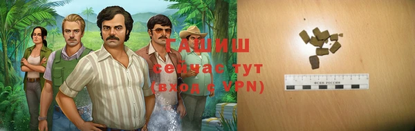 мдпв Михайлов