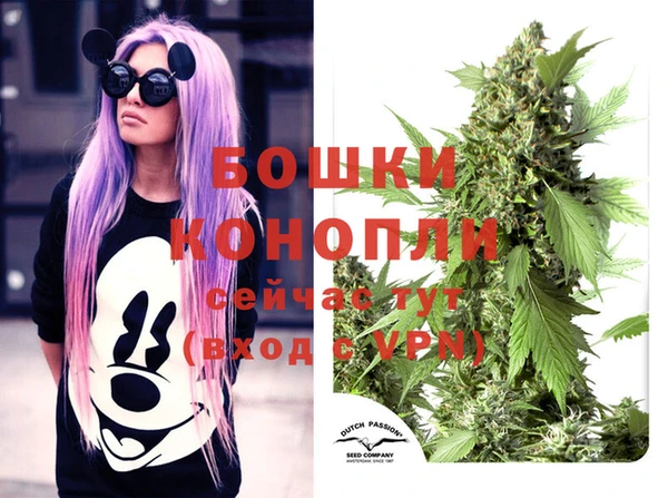 2c-b Надым