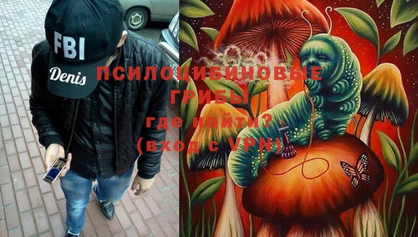 2c-b Надым